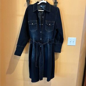 Avenue Blues Denim Blue Jean Dress